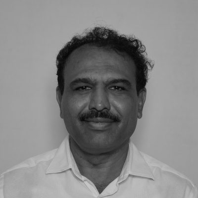 Team Member